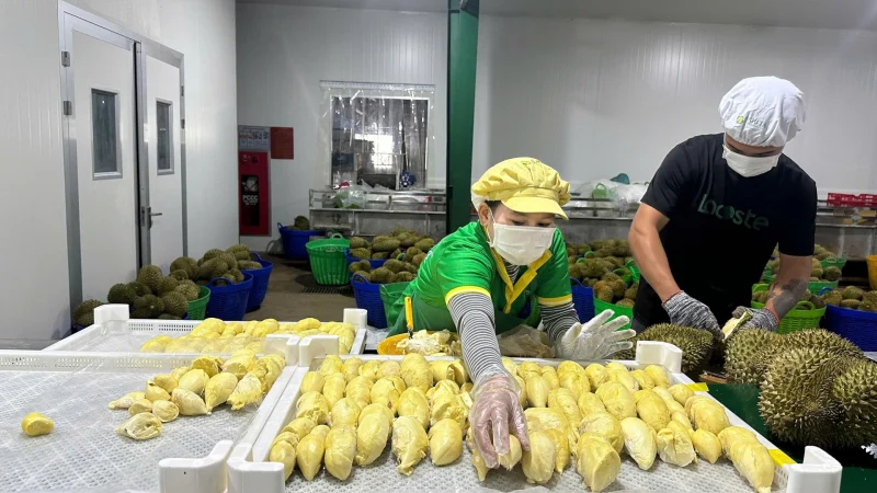 Trái cây cấp đông – Giải pháp tiện lợi, giữ trọn dinh dưỡng