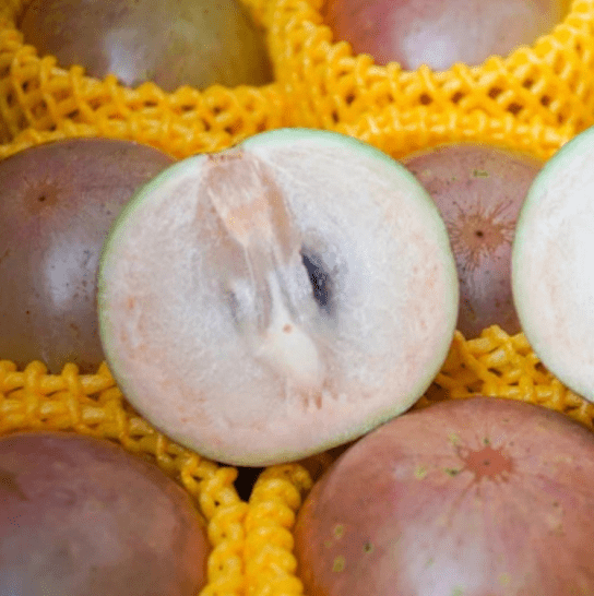 Vú sữa bơ hồng